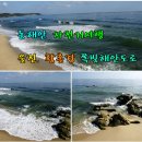 아줌마자전거여행[동해안일주 6. 환상의 쪽빛해안로, 기성리-망양해수욕장-오산항-울진엑스포공원 이미지