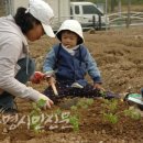 부서농장 이미지