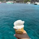[카오락 신혼여행] 시밀란 투어 (와우 안다만) 내돈내산 후기, 정보 공유