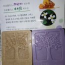 (주)시니코리아