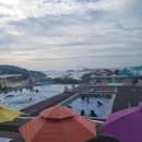 연백5호