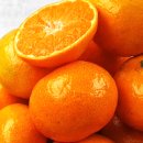 유승추어탕 이미지