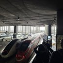 필립프라자 | 10월 신혼여행 열두번째날 - 마드리드에서 바르셀로나, H10 카사미모사와 고딕 야경 투어 망함, 솔직 후기