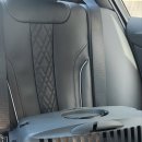 도리앤펫 이미지