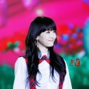 꿈꾸는 언덕 이미지