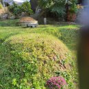 대호정형외과의원 이미지