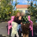 찰리즈하우스 이미지