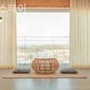 뚱새스테이