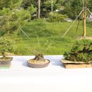 화천초등학교 이미지