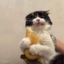 전통한우정육식당 이미지