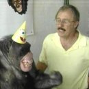 치타(CHEETAH) 이미지