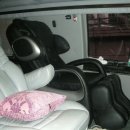 스타안마 이미지