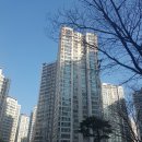 장안55 네이버블로그