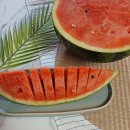 레티풀_나눔및 판매🍉꿀수박 첫 공구🍉당도선별! 고당도 설탕수박 맛보러 오세요🍉🍉
