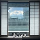 힐튼 오사카｜공항리무진 3분 컷 역세권 오사카 우메다 숙소 솔직후기
