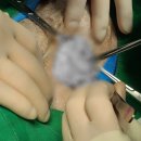 생생동물병원 이미지