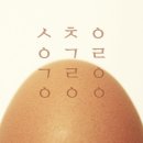 싱싱계란 티스토리