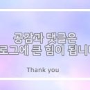 투더돼지 이미지