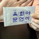 육회야문연어