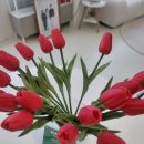 누흐스튜디오 이미지