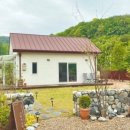 스테이느릿 이미지