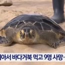 고기바다