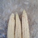 (주)미백 이미지