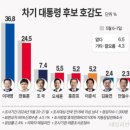 '다음 대통령' 이재명 36.8%, 한동훈 24.5%, 조국 7.4% [데일리안 여론조사] 이미지