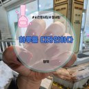 하루를디자인하다