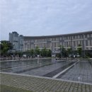 대전 한빛탑 물빛광장, 아이랑 물놀이+축제 우연히 즐긴 후기