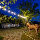 스톤힐 캠핑장 이미지