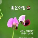 행복한의료기 이미지