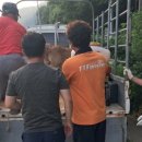 용문 119구조대 네이버블로그