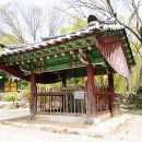 사나사(사찰 앞) 이미지