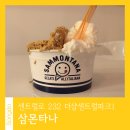 삼몬타나 이미지