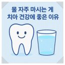 세정치과의원 네이버블로그