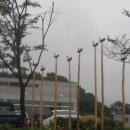 황가네식당 이미지