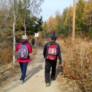 2015년 8월 29일 성 요한 세례자의 수난 기념일 [1부] 이미지