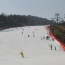 알펜시아리조트 이미지