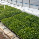 찬들농장 이미지