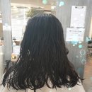 라니 헤어센스