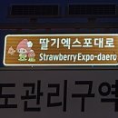 엑스포대로 이미지