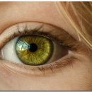 보떼메이트 이미지