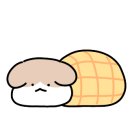 라이펙스 이미지