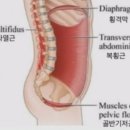 단전호흡 이미지