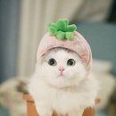 (주)제이오테크