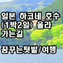 일본 하코네 호수 (1박2일) 올라 가는길 활화산유황분출 후지산풍경 하코네호수 이미지