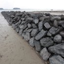 작은수해마을 이미지