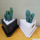 신목농장 이미지