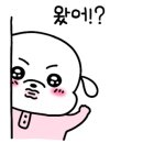 펫피르그루밍 이미지